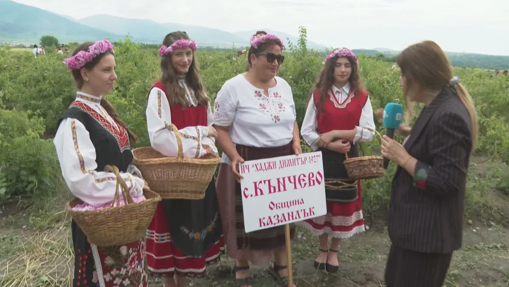 Празникът на розата: Ритуали по розобер и традиционно дефиле в центъра на Казанлък