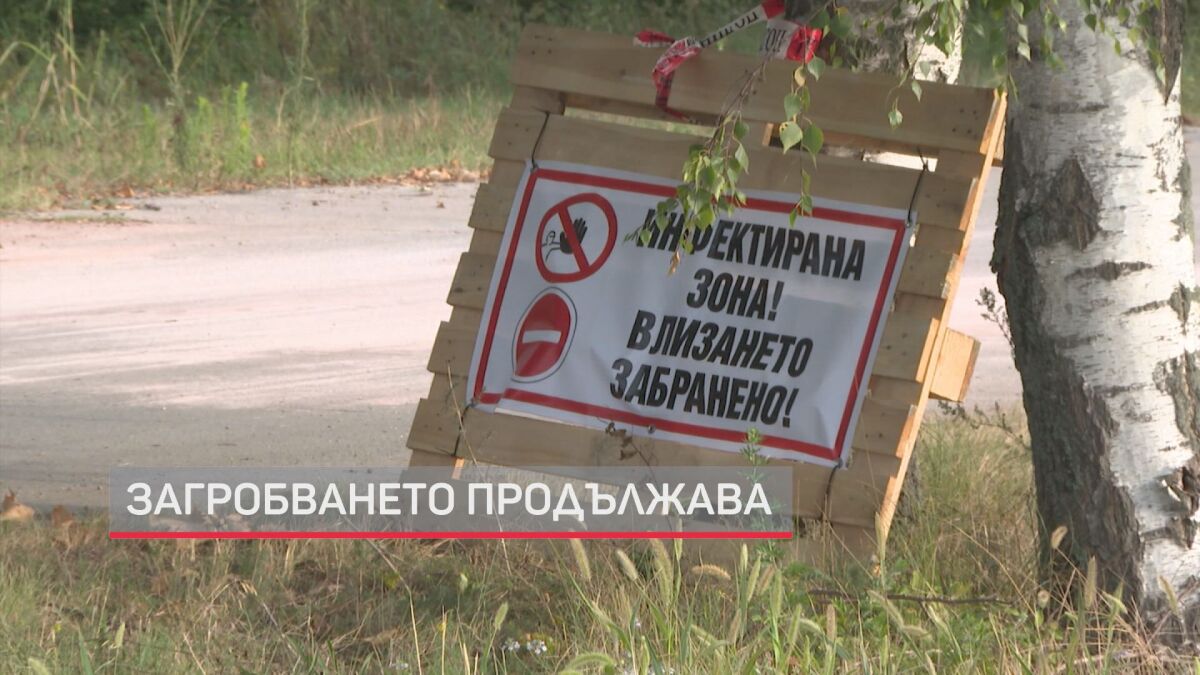 Бедствено положение и в Добричко заради чумата по свинете