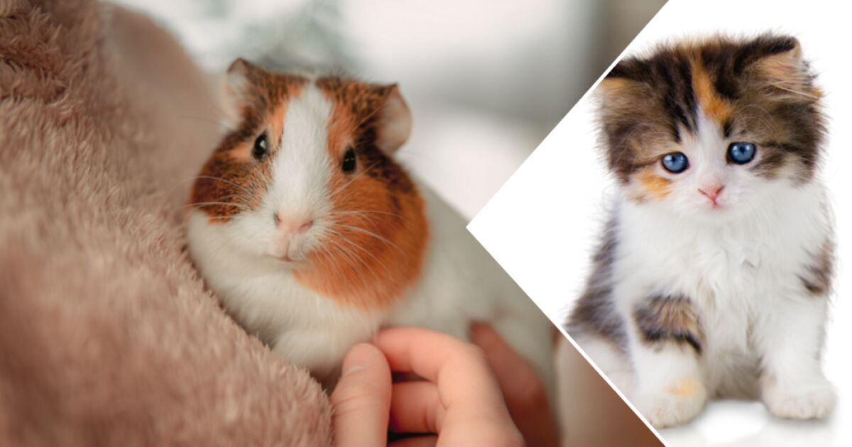 26-годишна жена и 35-годишен мъж от град Перник са задържани