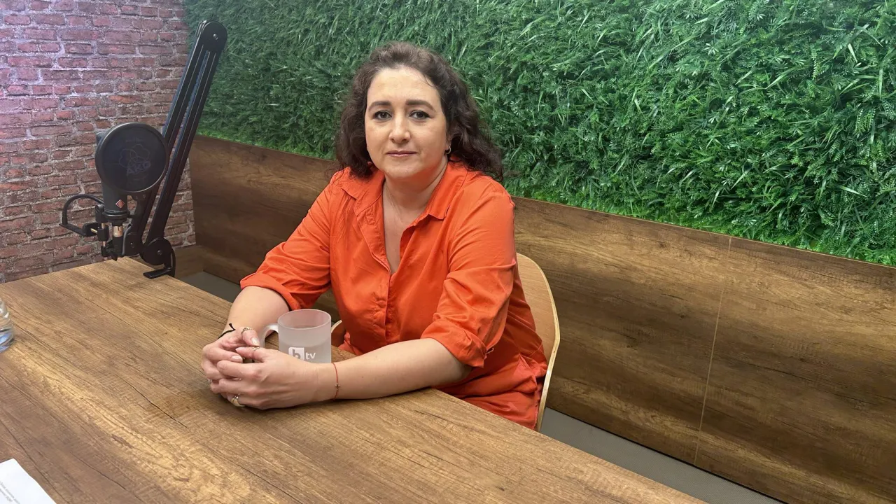 Даниела Петрова: В България има нелегален внос на мебели от Турция със съдържание на формалдехид