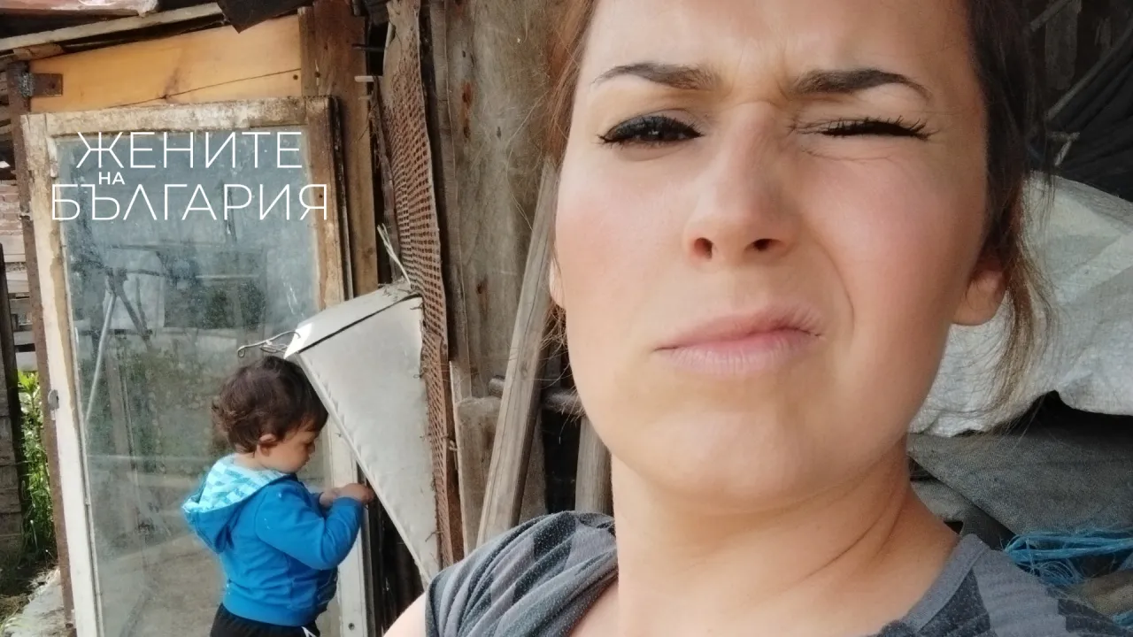 Неда в подредения хаос