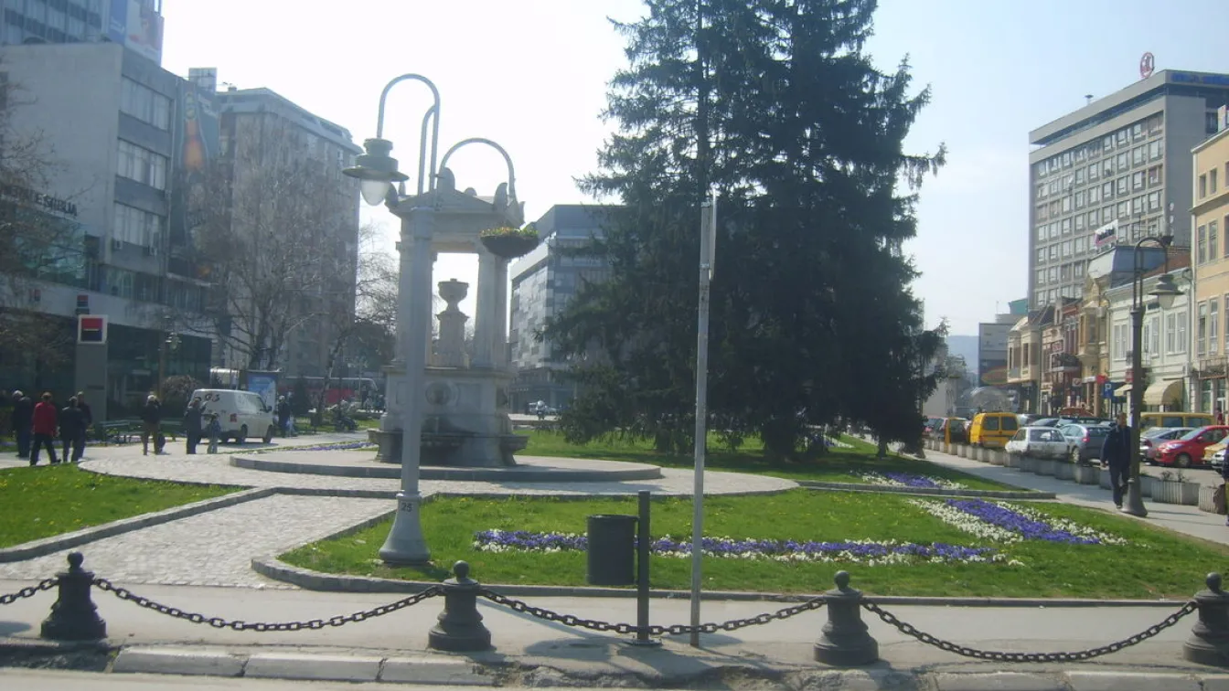 Чехи тръгнаха за Ница, оказаха се в Ниш