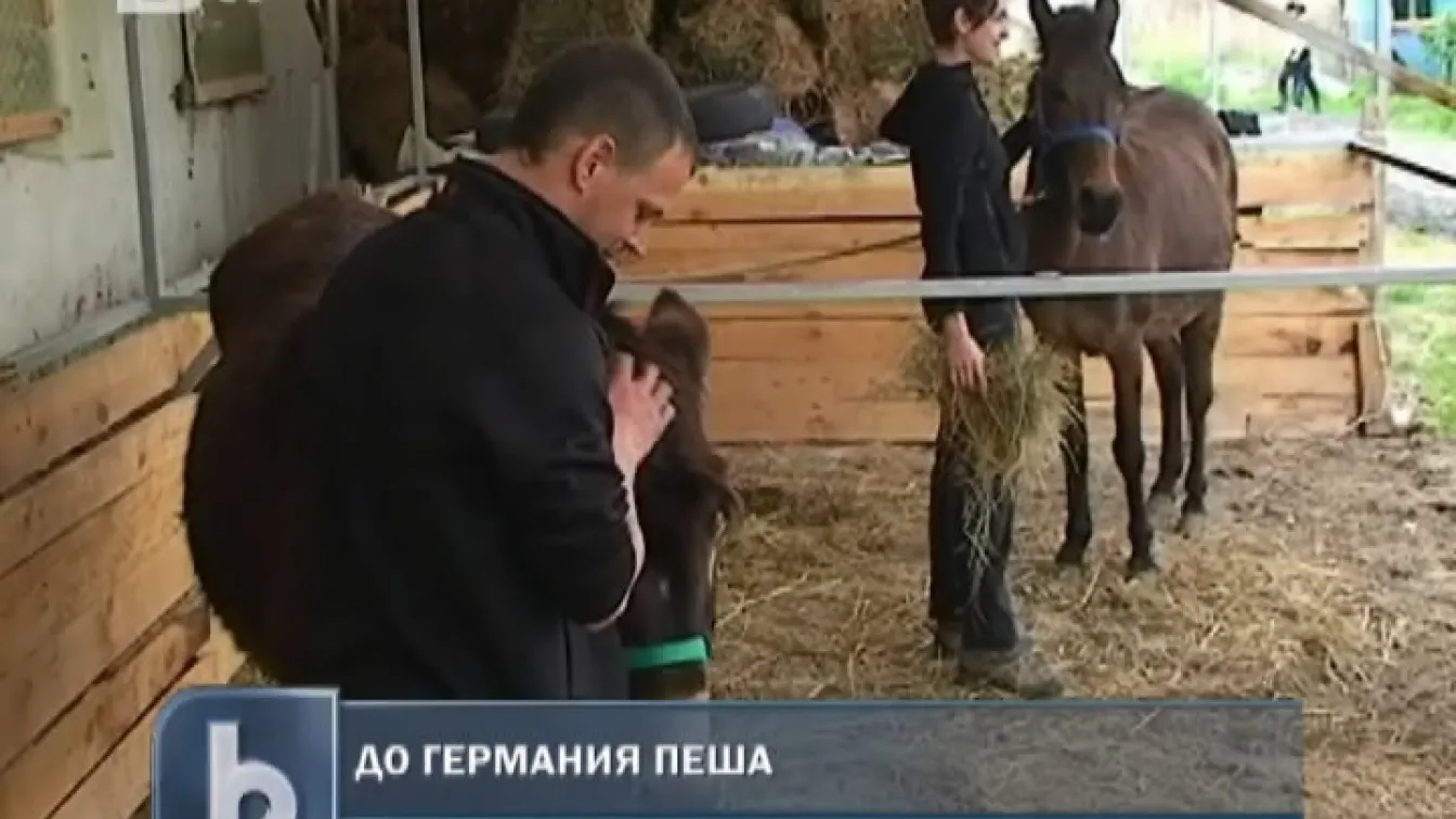 От България до Германия с магаре