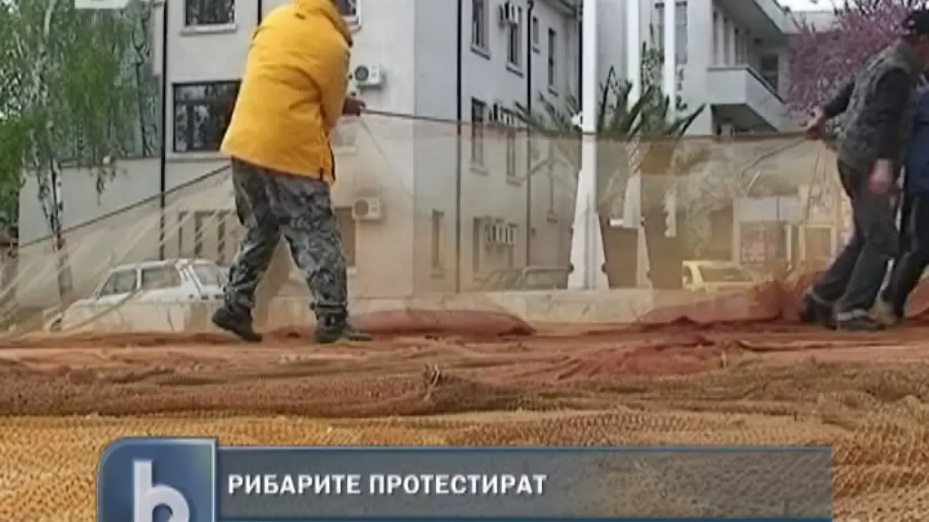 Рибари протестират срещу набезите на делфини в мрежите