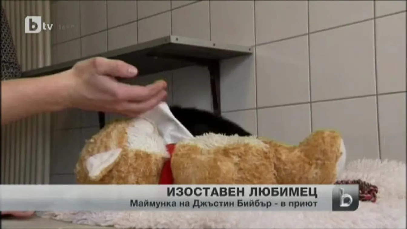Джъстин Бийбър не е потърсил маймунката си, която изостави в Германия