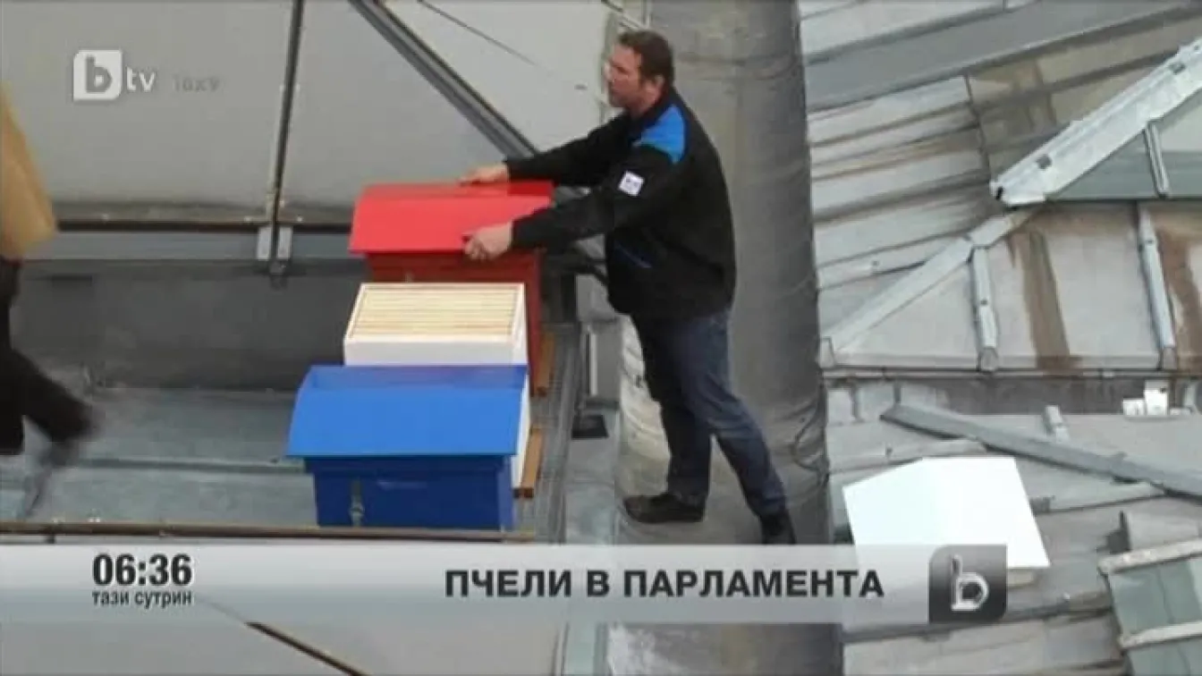 Френският парламент започва производството на... мед
