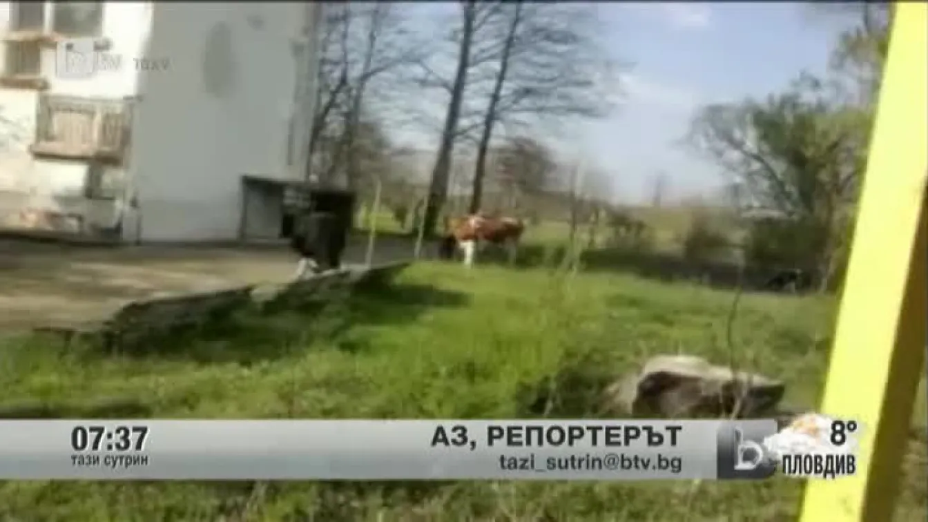 Кадри от Аз, репортерът