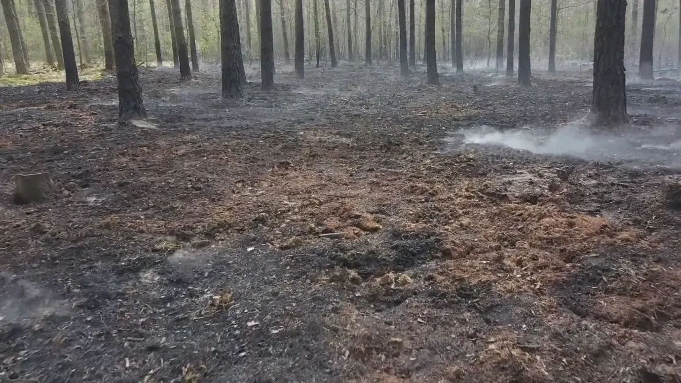 Огнена стихия в Полша: Над 1200 пожара бушуват в страната