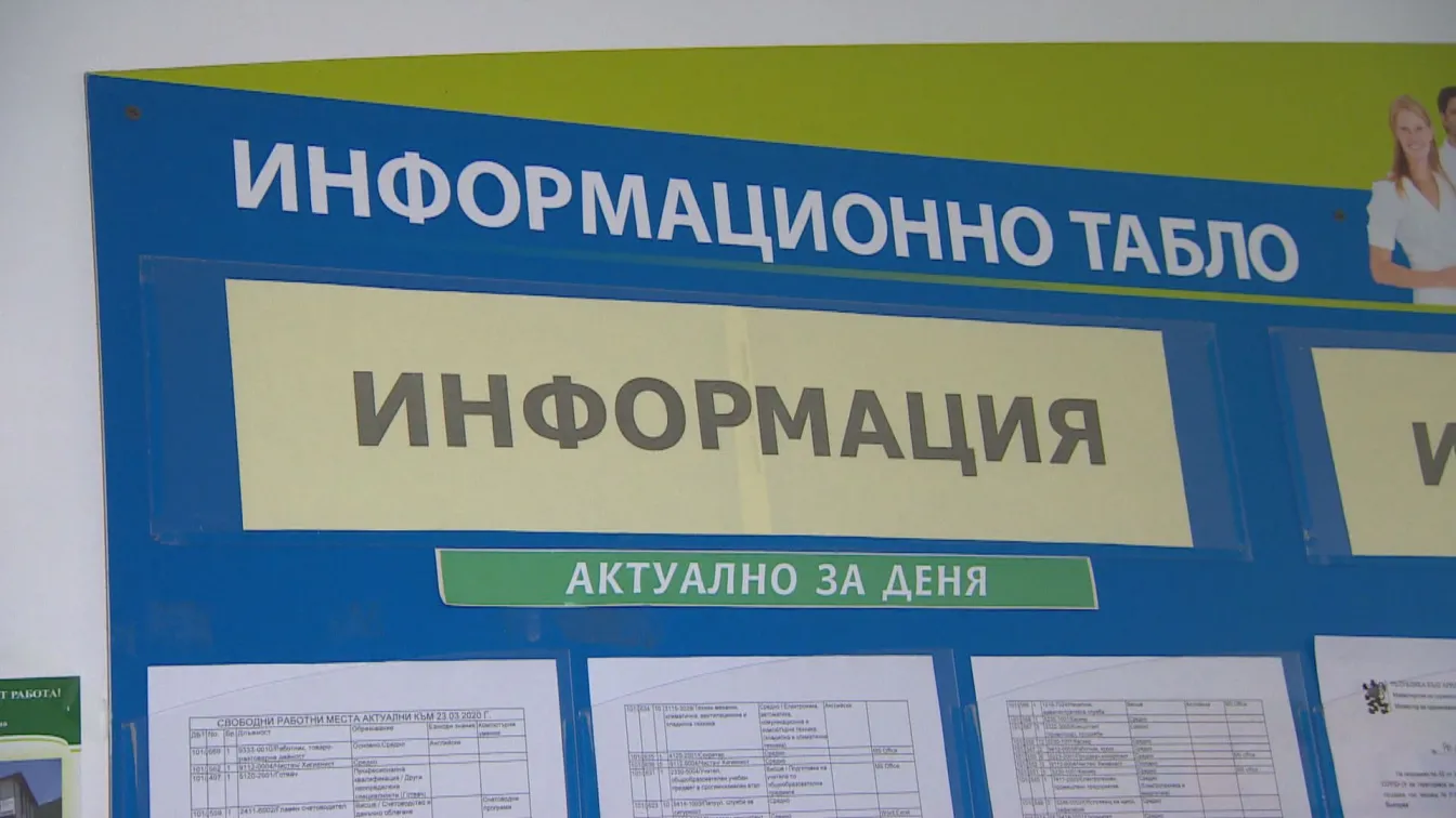 Повечето безработни у нас са мъже, 14% от всички безработни са с висше образование
