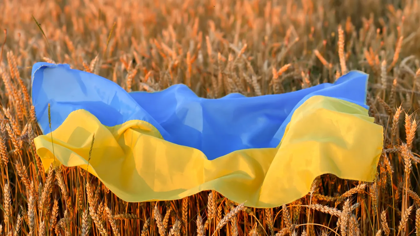 България обмисля да ограничи вноса на зърно от Украйна