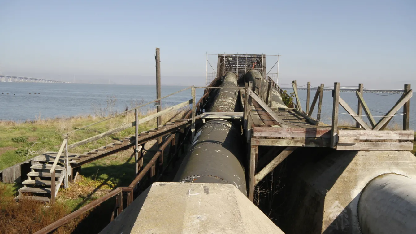 „Грийнпийс“: Газов проект в румънски води застрашава живота в Черно море