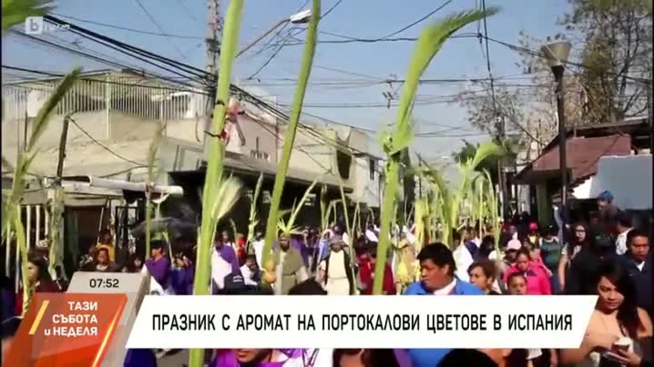 Празник с аромат на портокалови цветове в Испания
