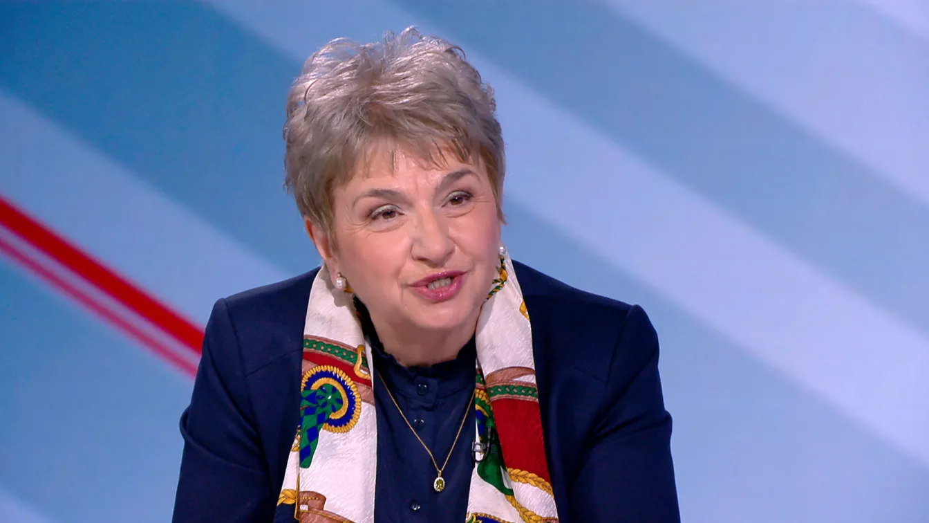 Меглена Плугчиева: С тези постоянни нови парламенти ние нямахме една ясно формулирана външна политика