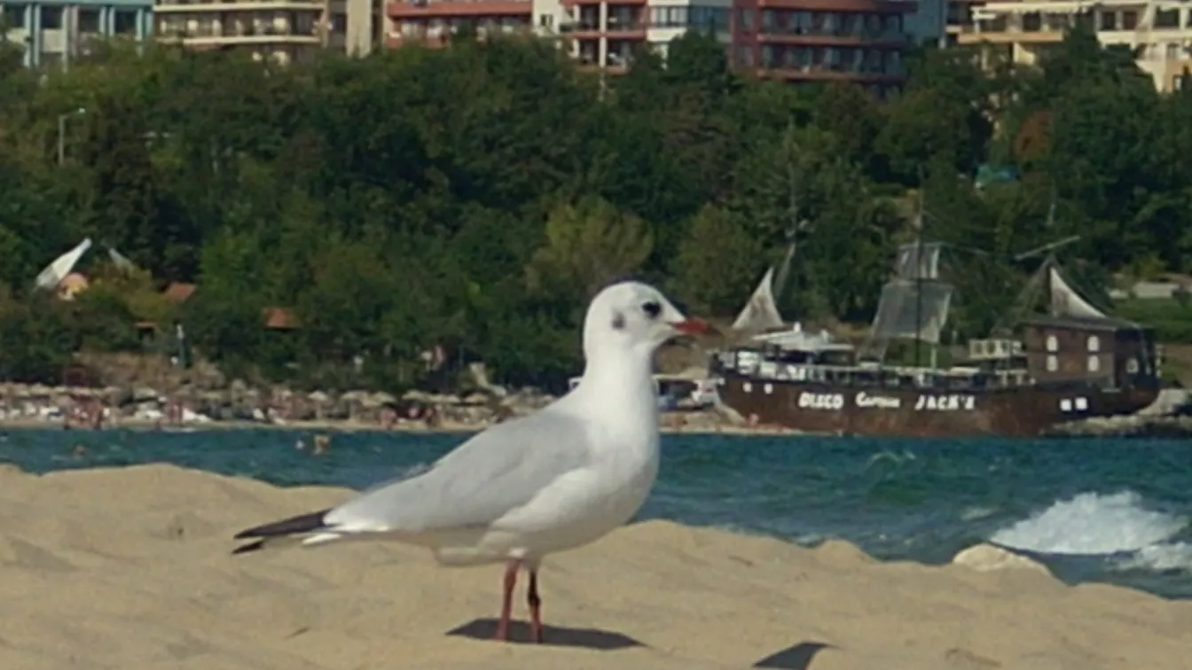 Насаме с морето
