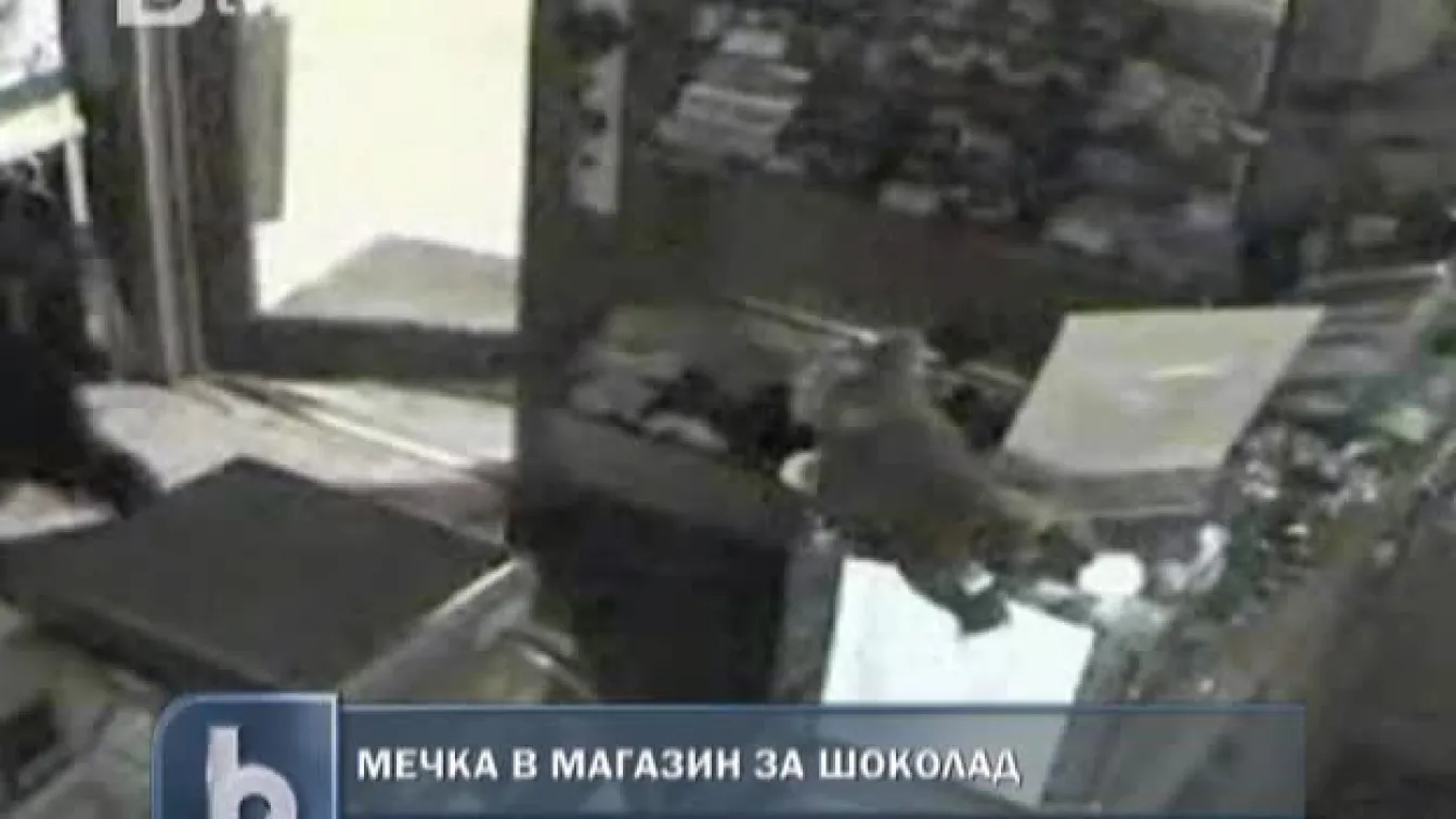 Мечка похапна шоколад