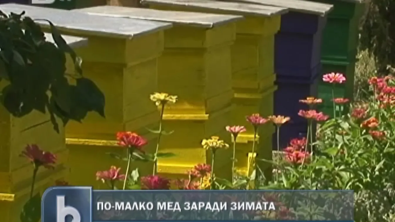 Българите консумират 20 пъти по-малко мед от германците