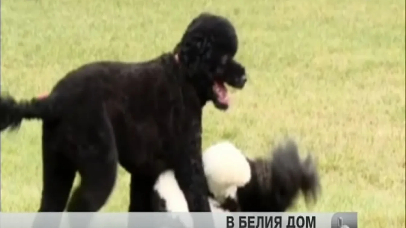 Семейството на Барак Обама се сдоби с нов член