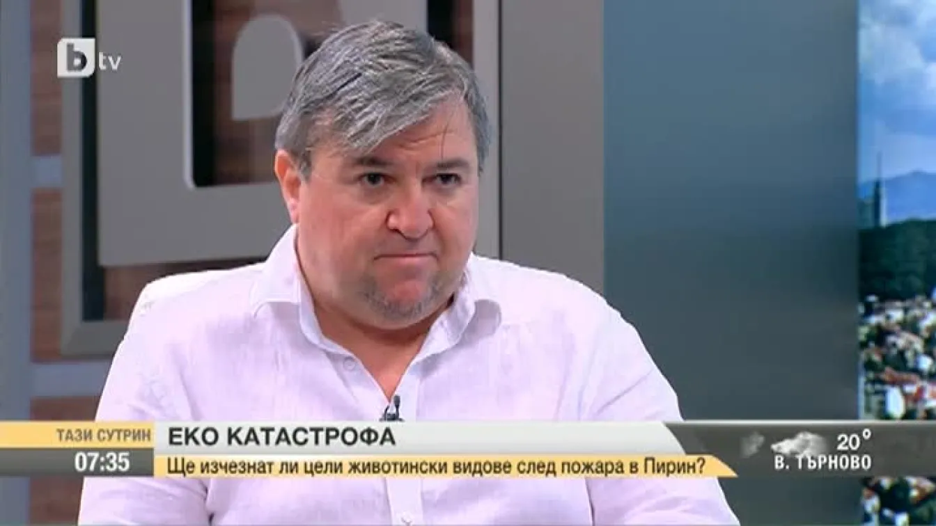 Ще изчезнат ли цели животински видове след пожара в Пирин?