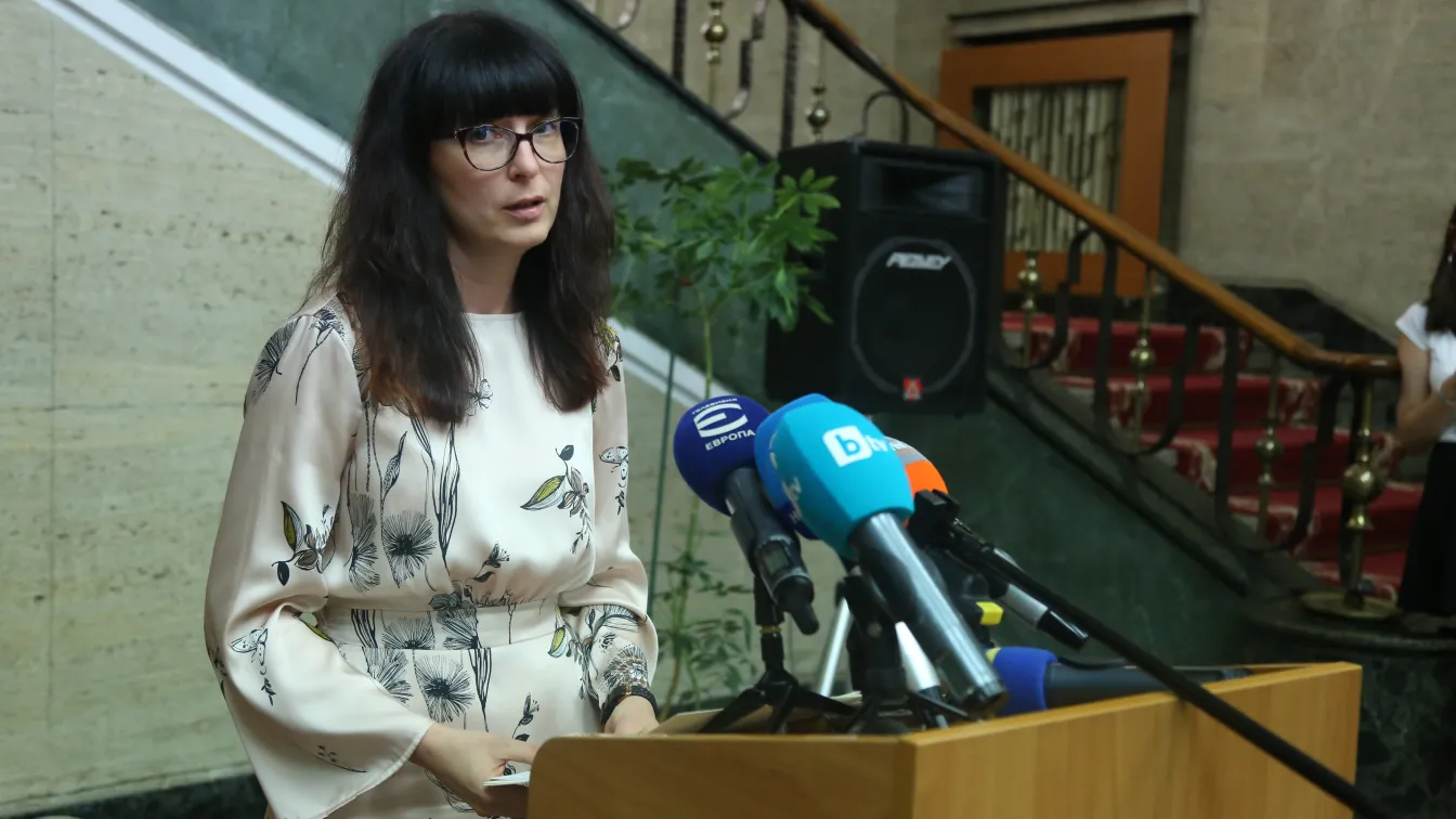 МП: САЩ отговарят за закрилата на отнетите осиновени българчета