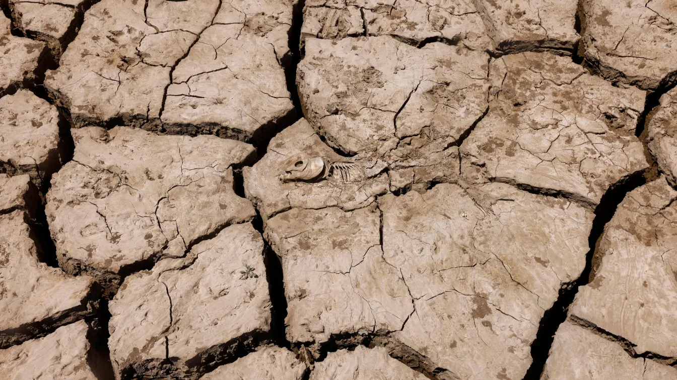 Невиждана суша от 1200 години: Испания се бори с липсата на вода (ВИДЕО)
