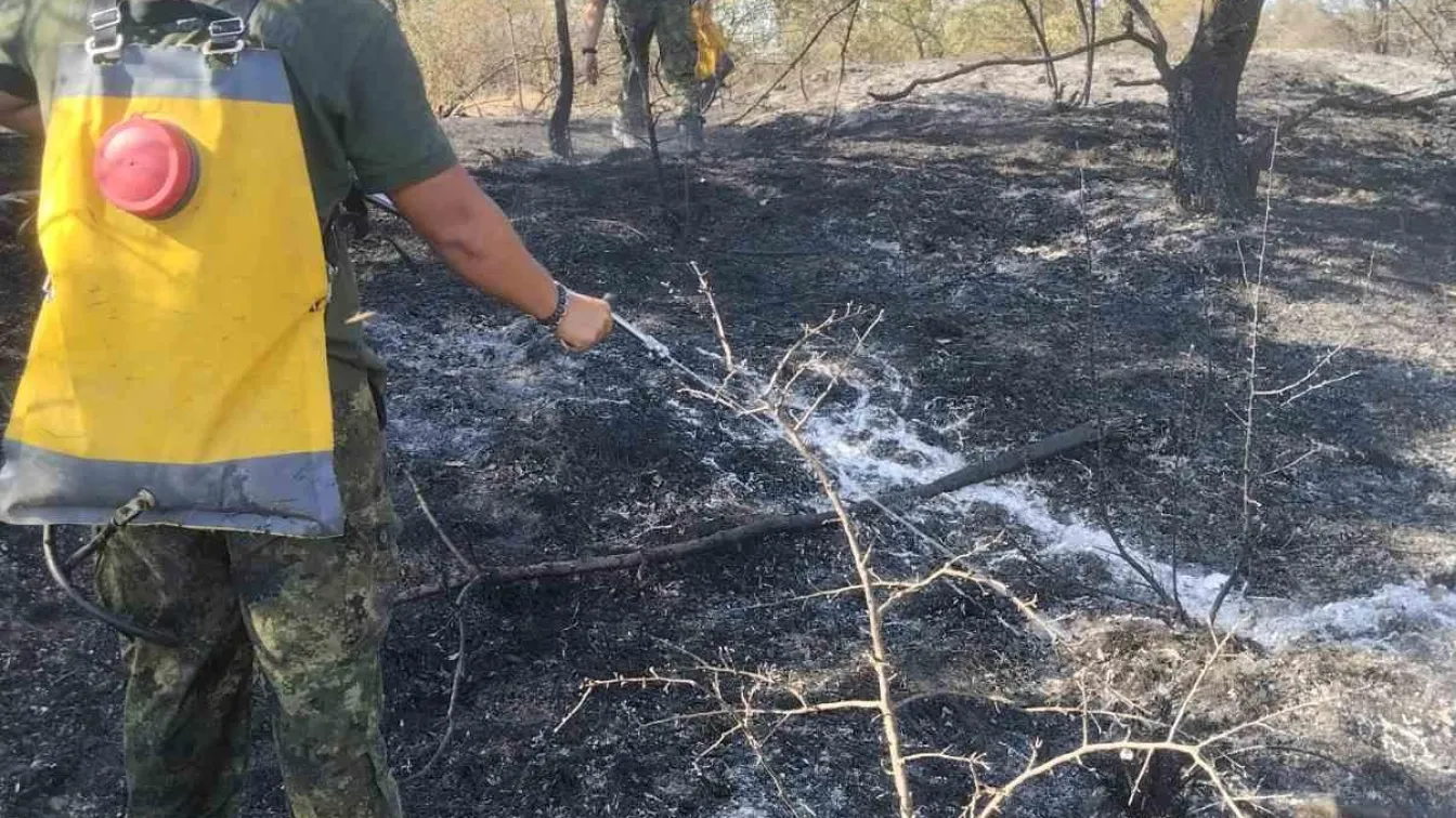 Едно от трите нови огнища в Пирин е потушено, второто създава опасност