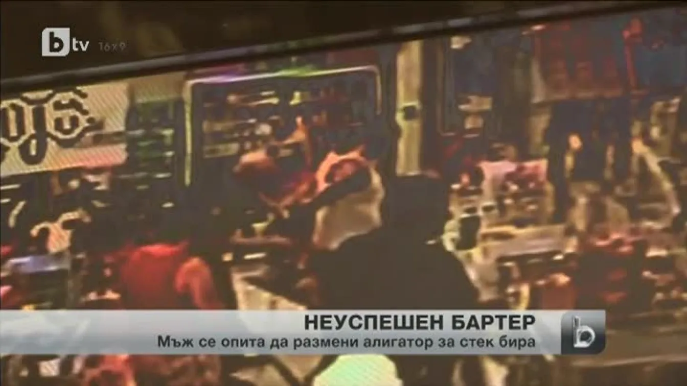 Мъж от Флорида опита да замени жив алигатор за ...опаковка от 12 бири