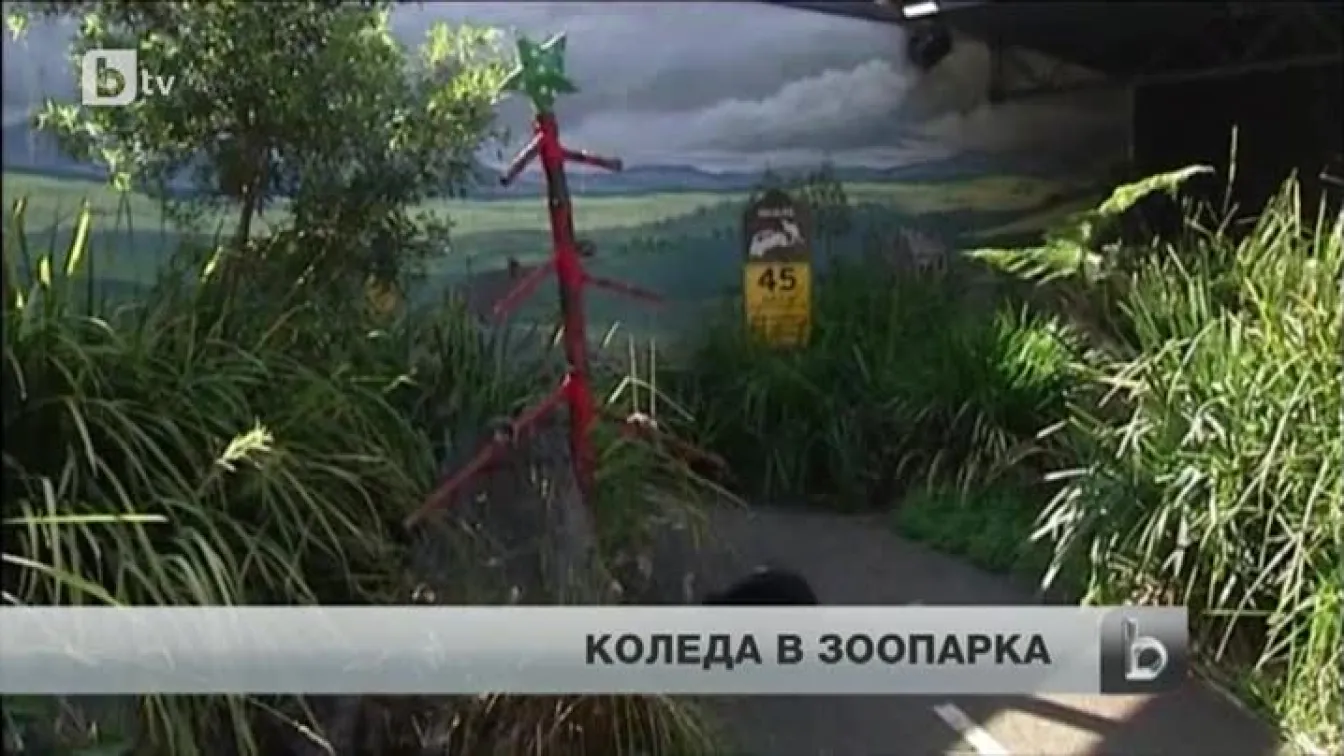 Коледно настроение от Австралия