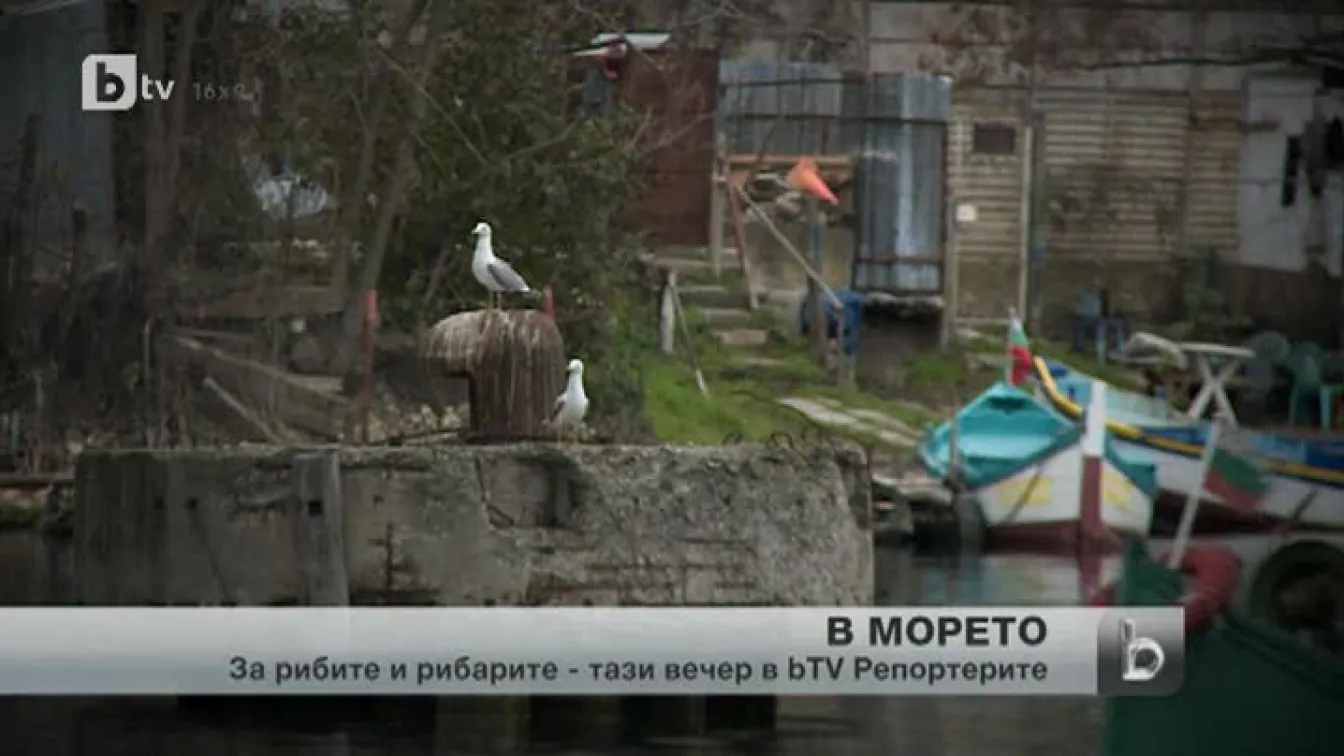 Само три са регистрираните рибарски пристанища по българския бряг на Черно море