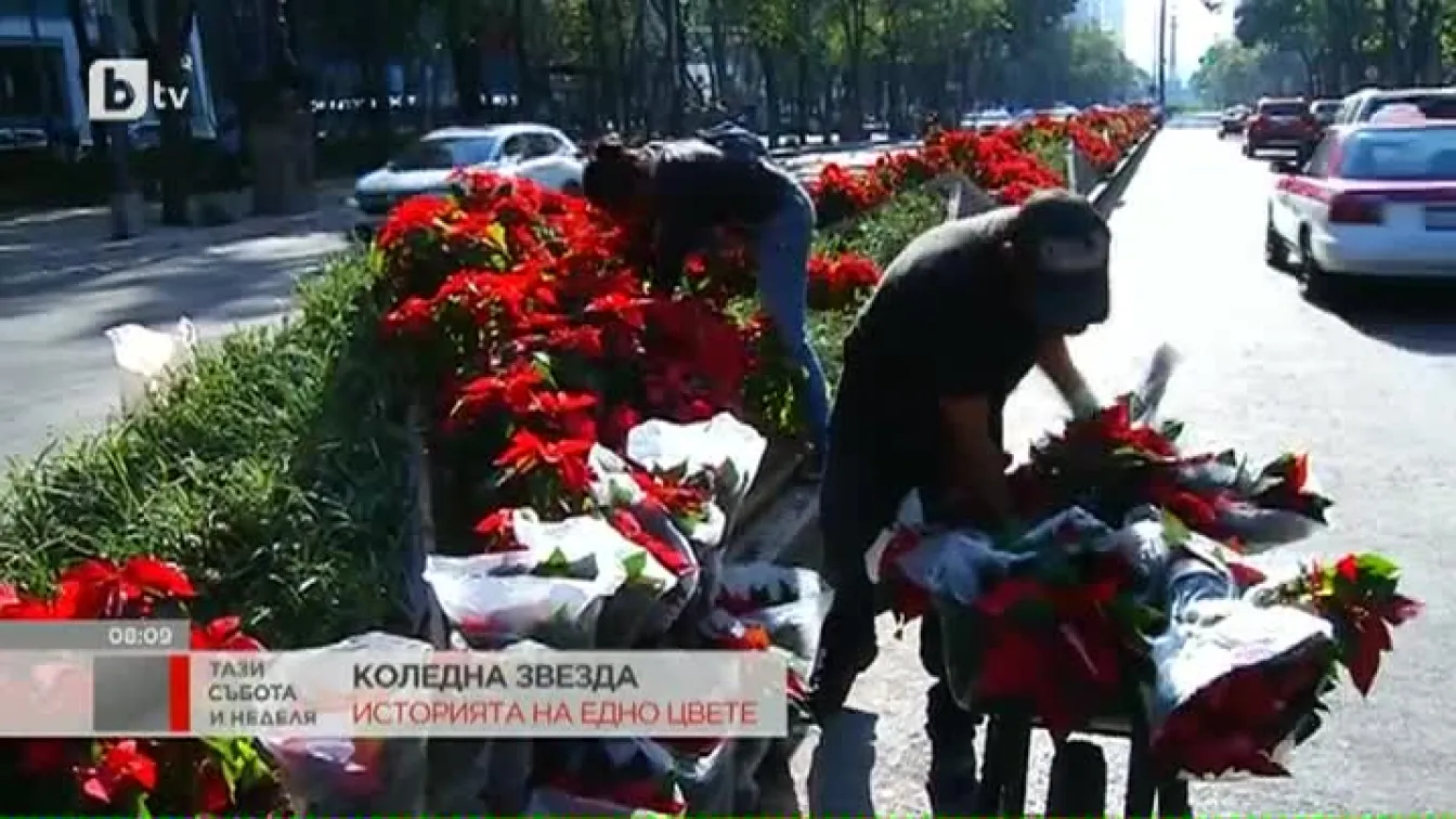 Историите от света - 09.12.2017 г.