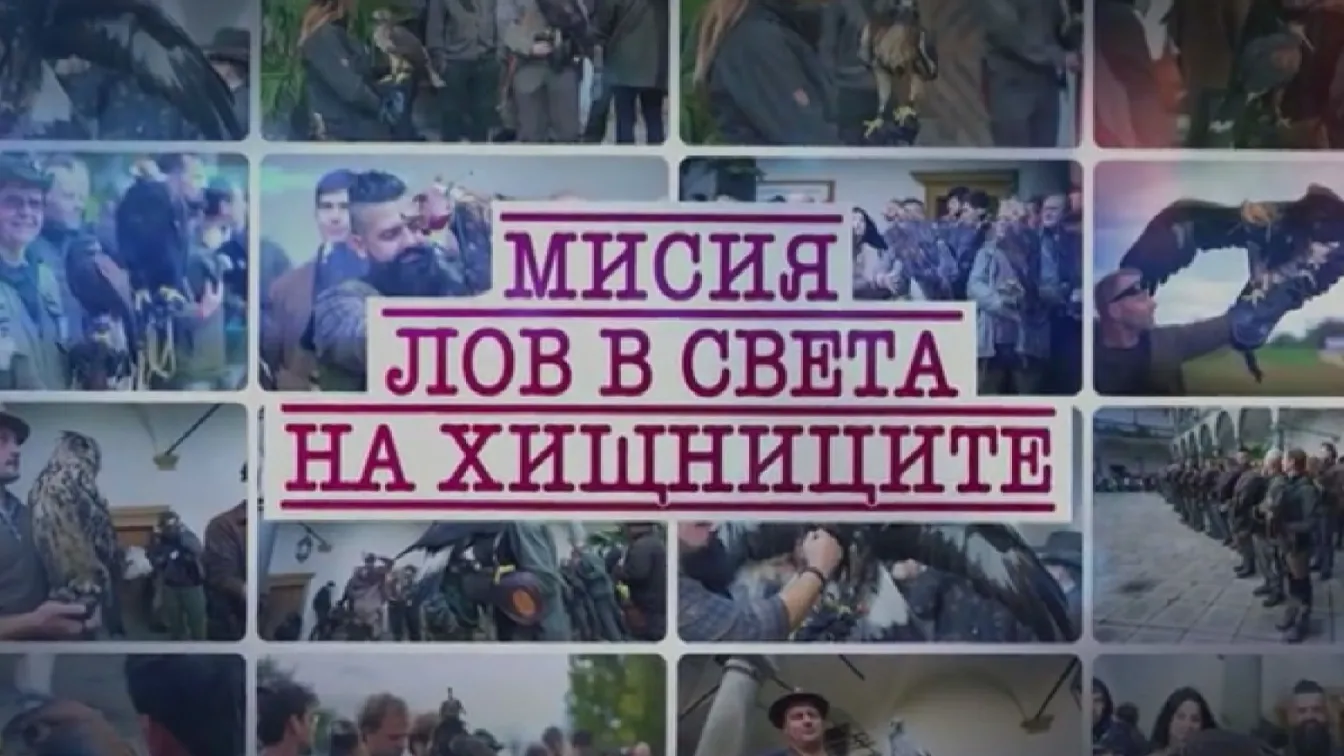bTV Репортерите: Лов в света на хищниците