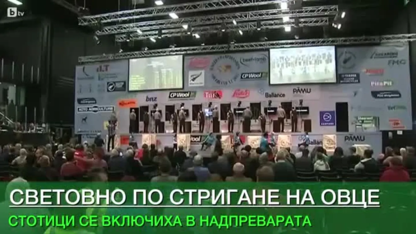 Стотици стригаха овце като за световно в Нова Зеландия (ВИДЕО)