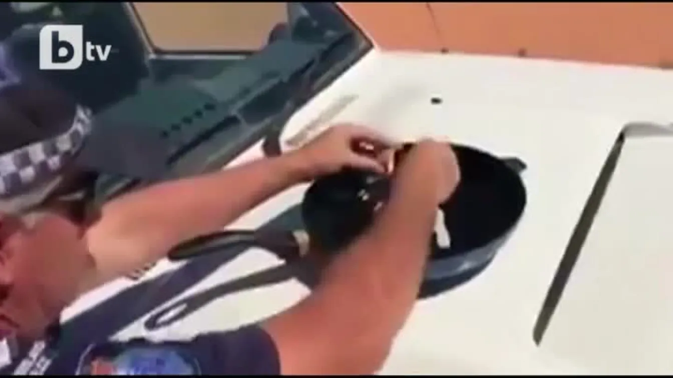 Може ли да се пържат яйца на капака на колата?