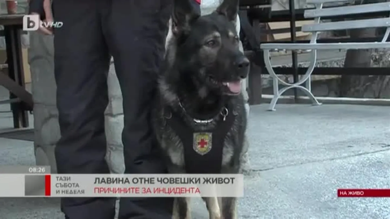 Лавина в Пирин отне живота на 25-годишна жена