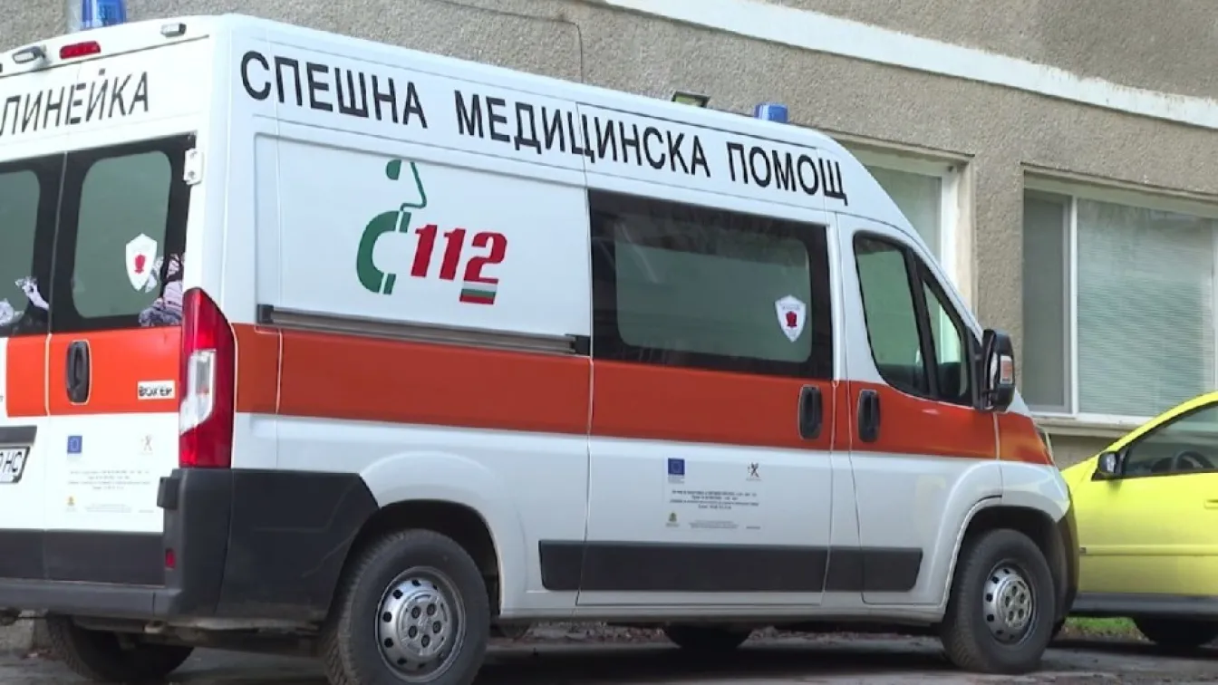 Изгнило дърво премаза 70-годишен мъж на Предела между Рила и Пирин