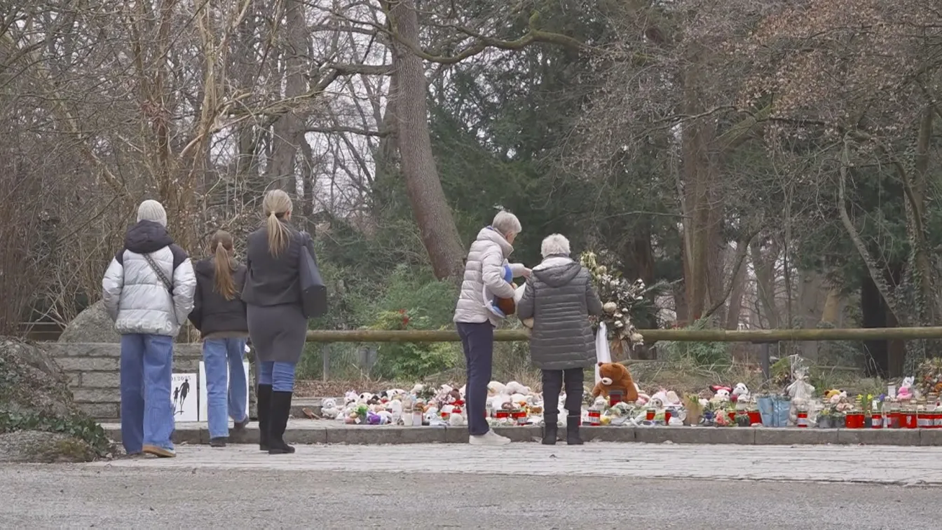 Предизборната кампания в Германия - белязана от атаките в Магдебург, в Ашафенбург и в Мюнхен
