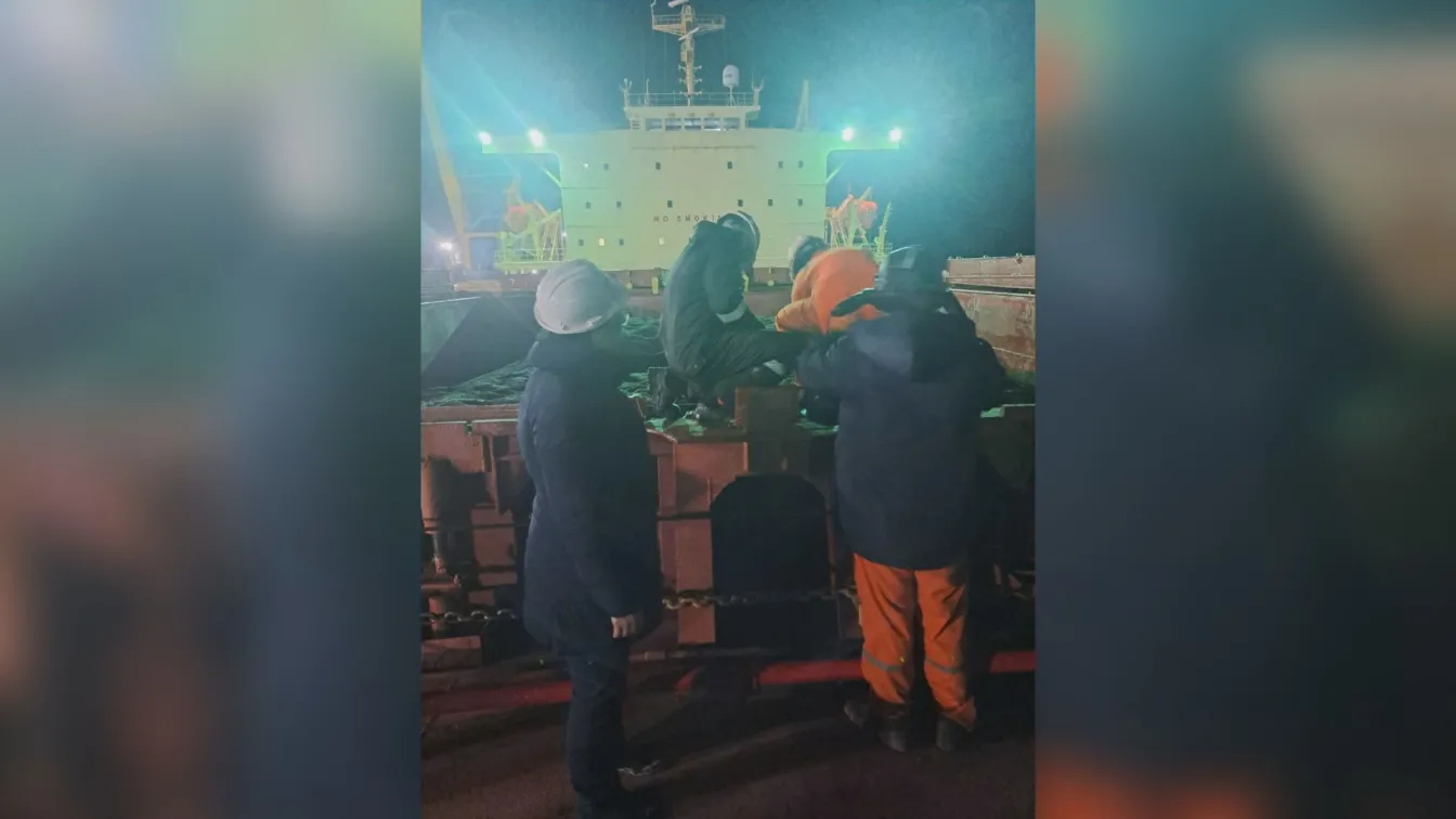 БАБХ: Четвърти кораб със слънчоглед от Аржентина с пестициди над нормата