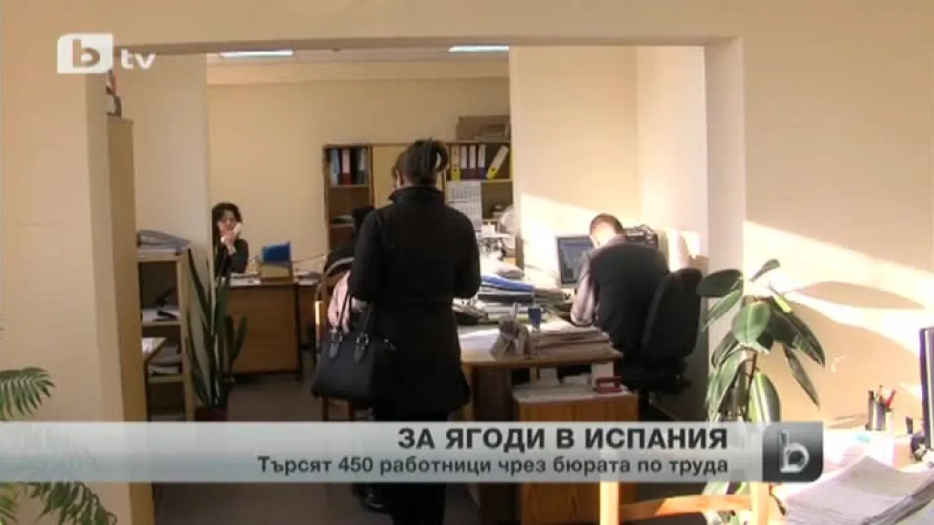 Испански работодател иска да назначи 450 работници като ягодоберачи
