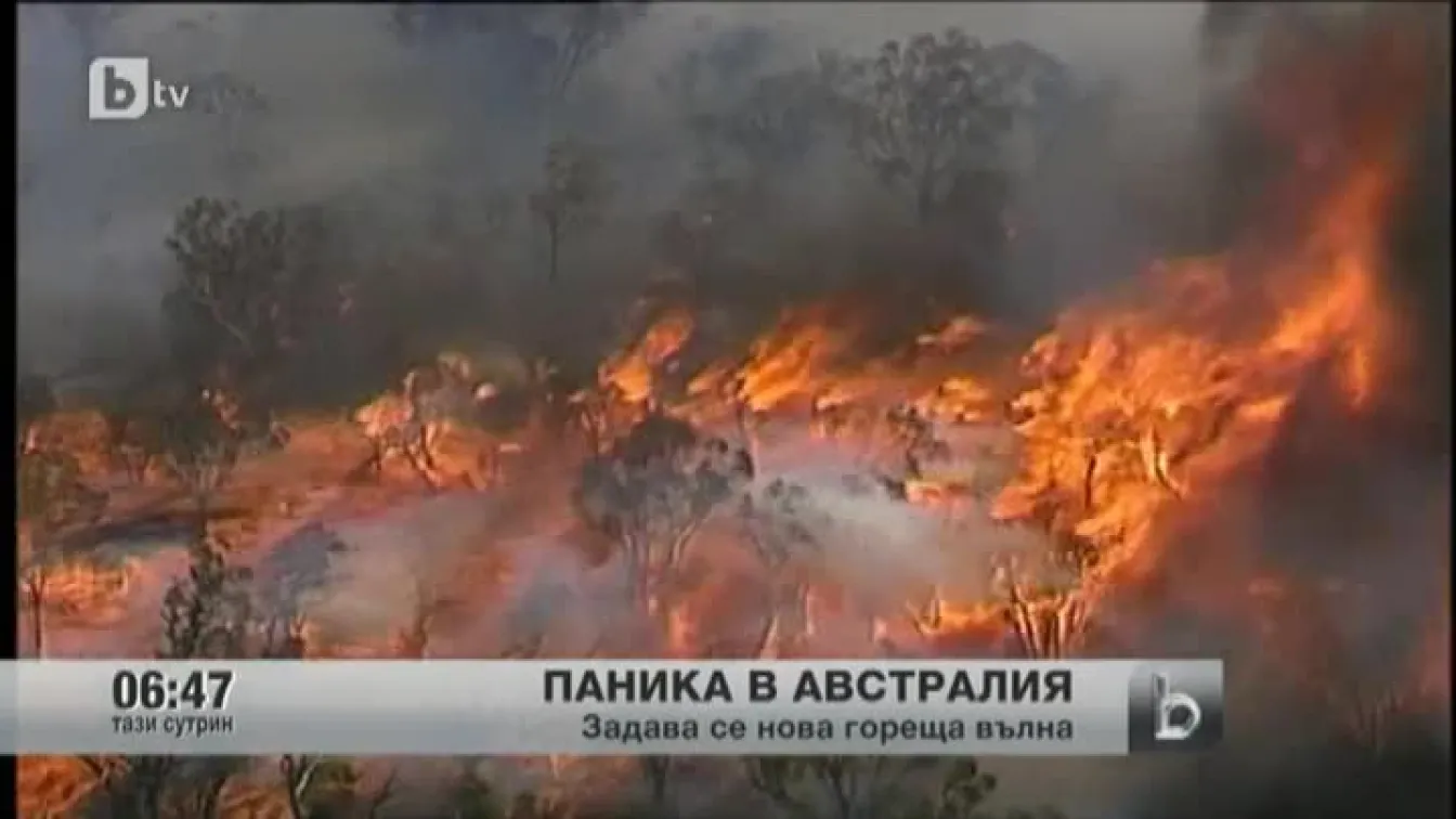 Паника в Австралия