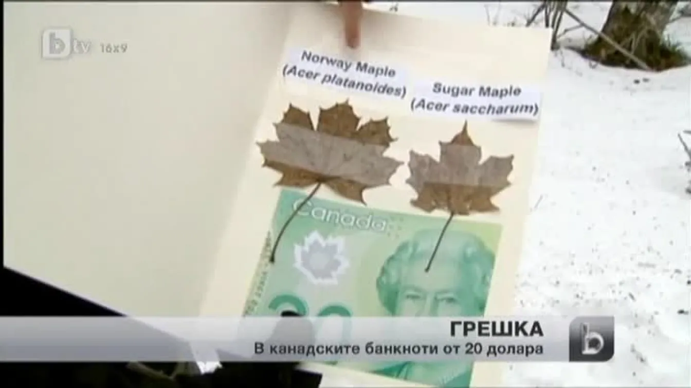 Ботаници откриха грешка в новата банкнота от 20 канадски долара