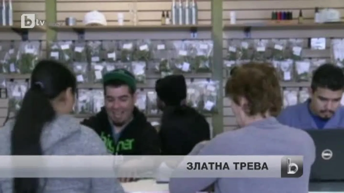 Печалбите от марихуана в щата Колорадо растат главоломно