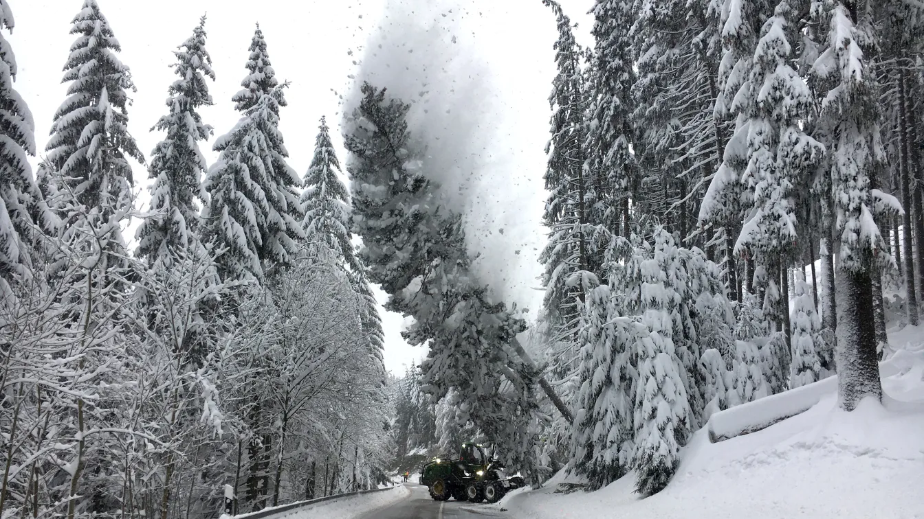 Отменени полети в Германия заради снега 