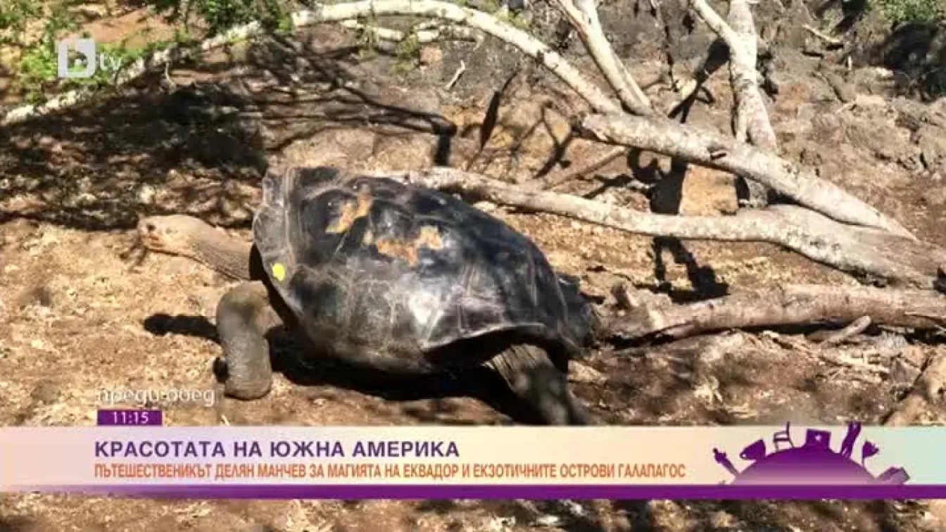 Красотата на Южна Америка: магията на Еквадор и екзотичните острови Галапагос