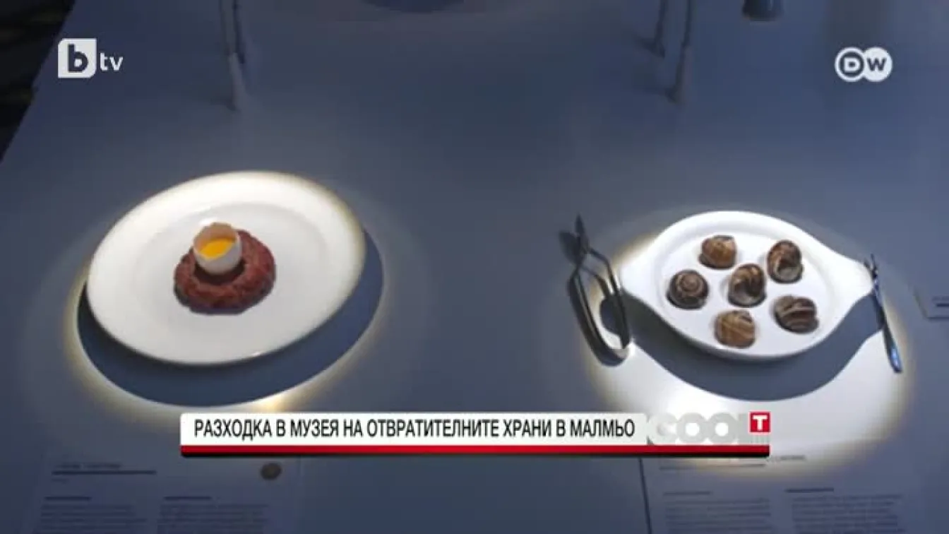 Музеят на отвратителните храни в Малмьо взривява представите ни за това какво е храна