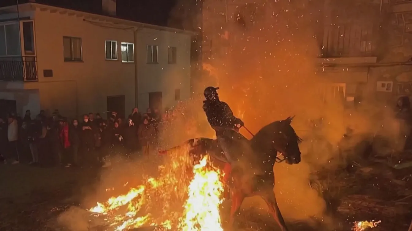 В чест на св. Антоний: Стотици коне прескачат огньове в Испания (ВИДЕО)