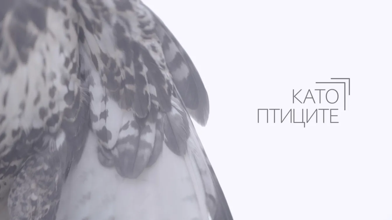 Като птиците (1 част)