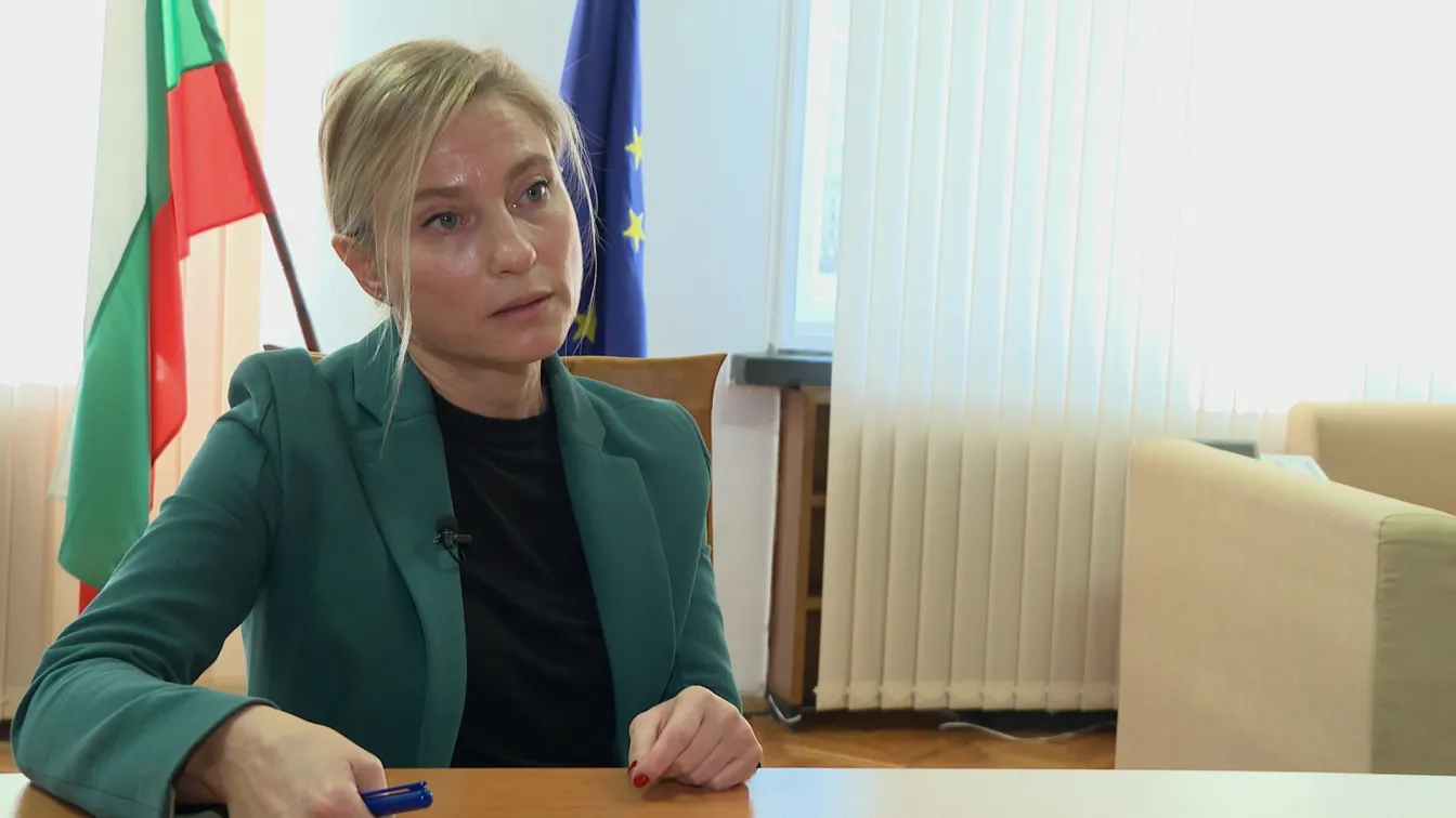 Ивелина Дундакова за Шенген: Австрия е заявила връщането на 163 мигранти, но у нас са дошли 113