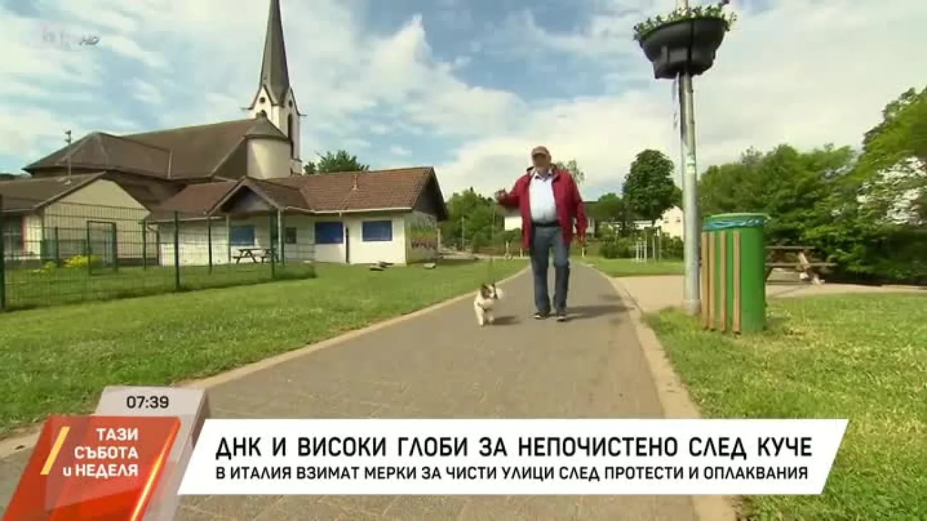 Високи глоби за непочистено след куче в Италия