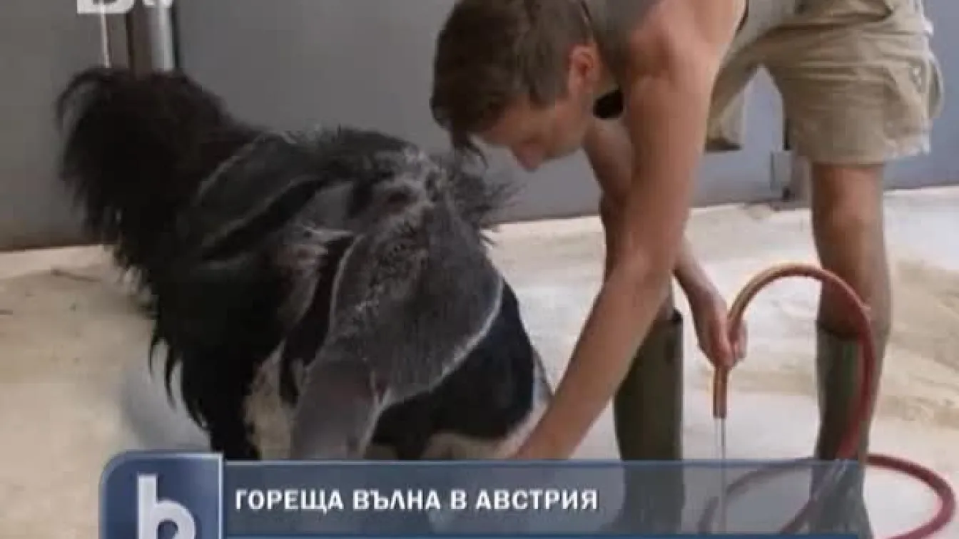 Гореща вълна и в Австрия