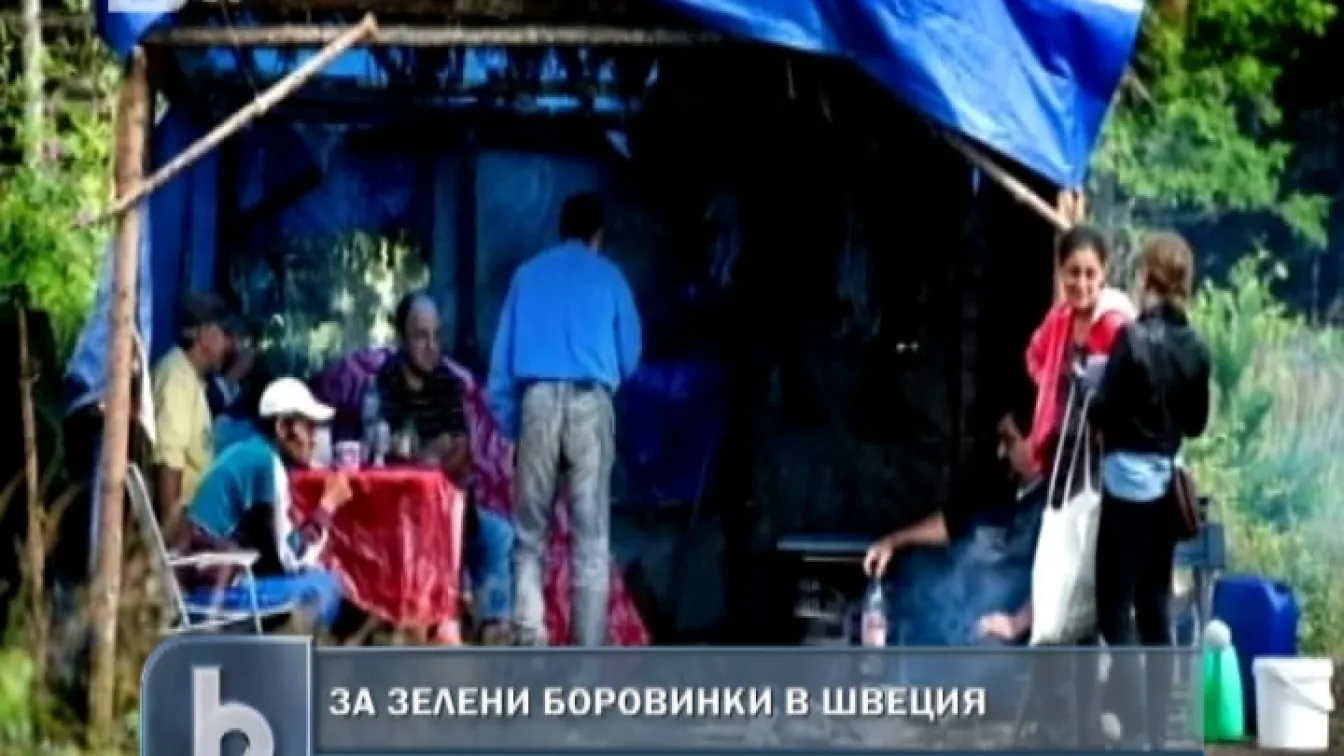 Измамените българи се прибират от Швеция
