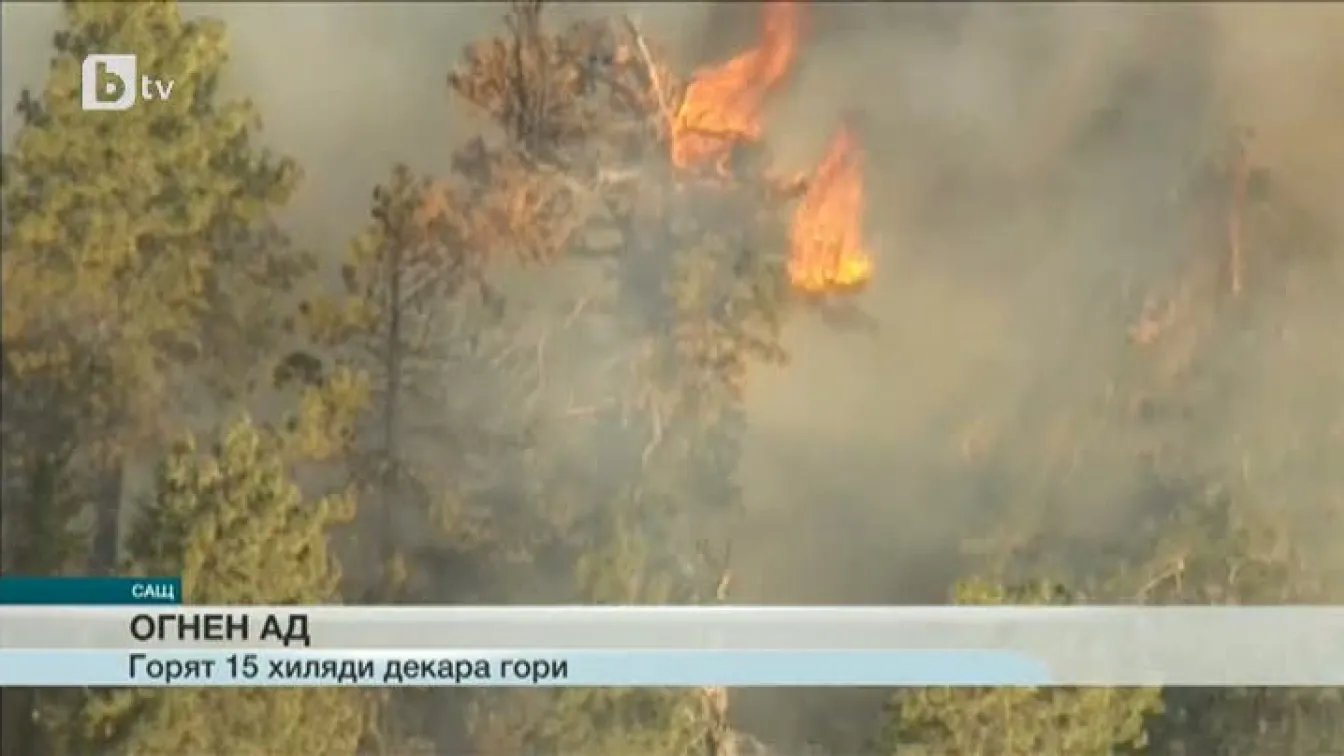 Горещини предизвикаха масивни горски пожари в Калифорния